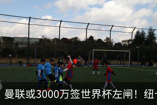 曼联或3000万签世界杯左闸！纽卡拒绝6000万卖霍尔，非要买必须天价